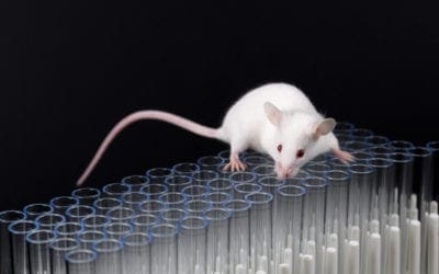 Genomic responses in mouse models poorly mimic human inflammatory diseases