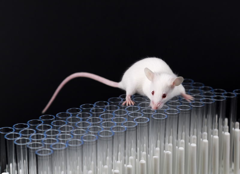 Genomic responses in mouse models poorly mimic human inflammatory diseases